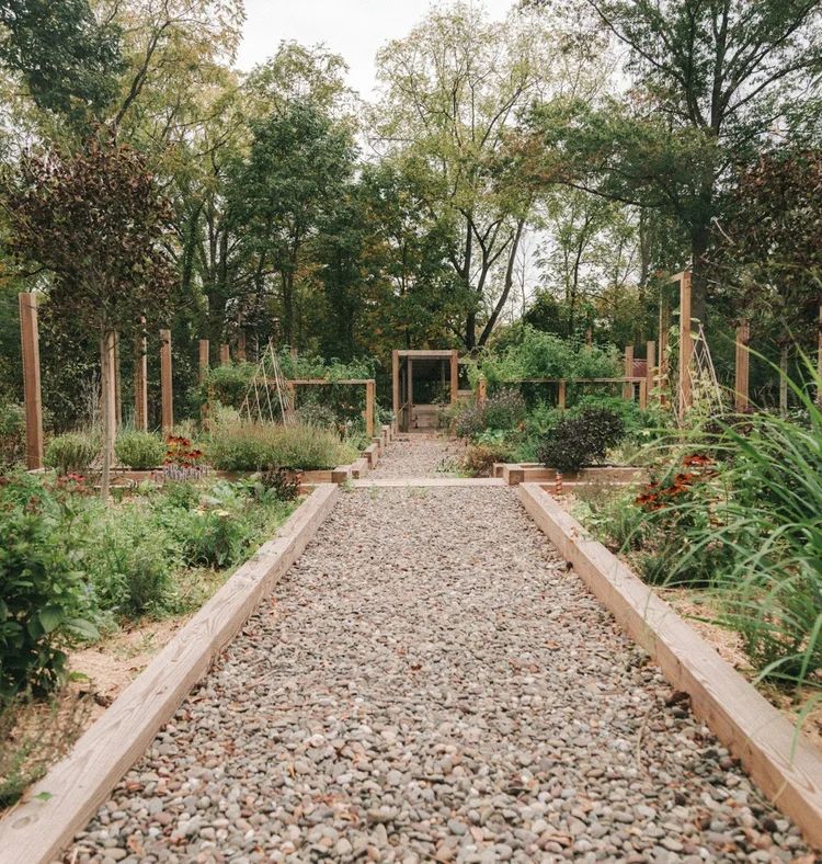 A gravel path running between rows of young trees