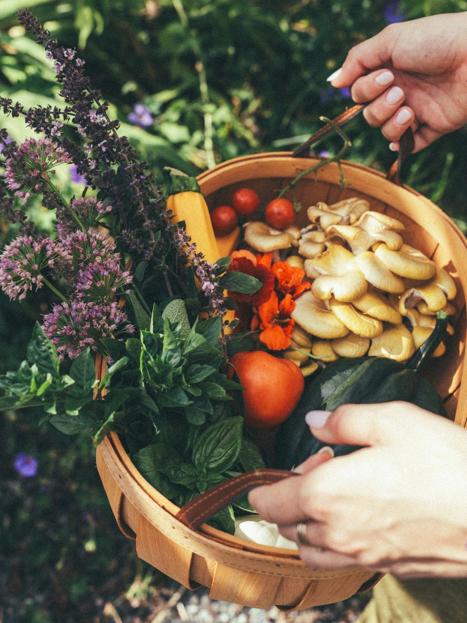 Hands holding a basket of just-picked vegetables and herbs
